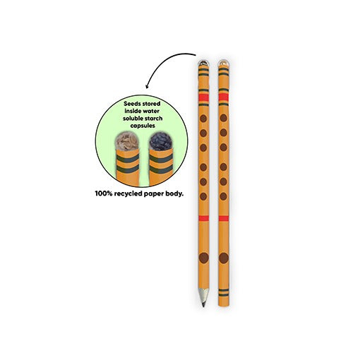 Flute Plantable Pencil - 2 Combos (4 Pencils)