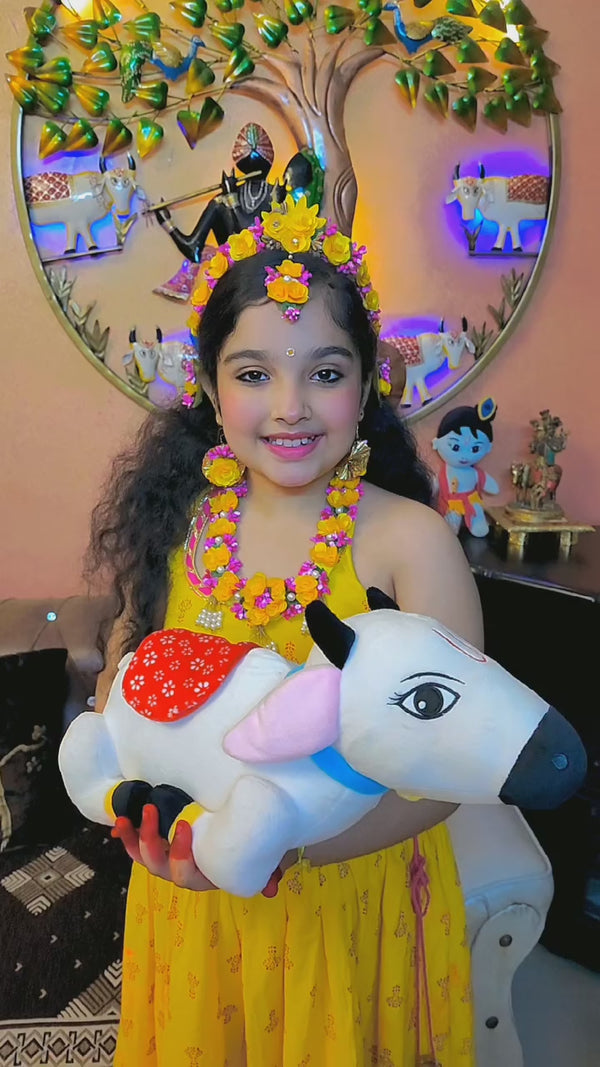 shopgracias-app-videos